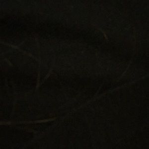 Meet your Posher, Ana